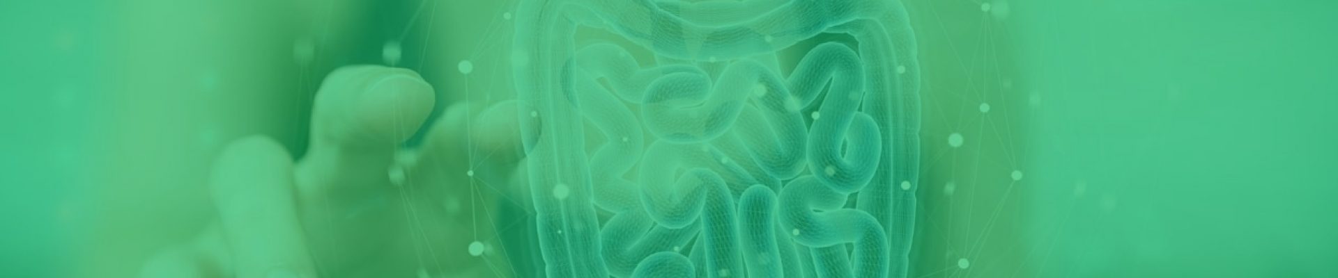 microbiota-intestinal-t